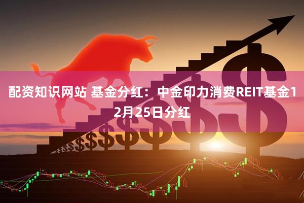 配资知识网站 基金分红:中金印力消费REIT基金12月25日分红