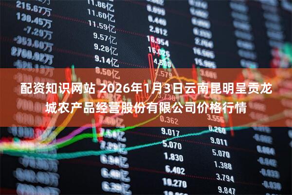 配资知识网站 2026年1月3日云南昆明呈贡龙城农产品经营股份有限公司价格行情